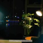 Empire City – Tilia Residences – River view with fireworks view